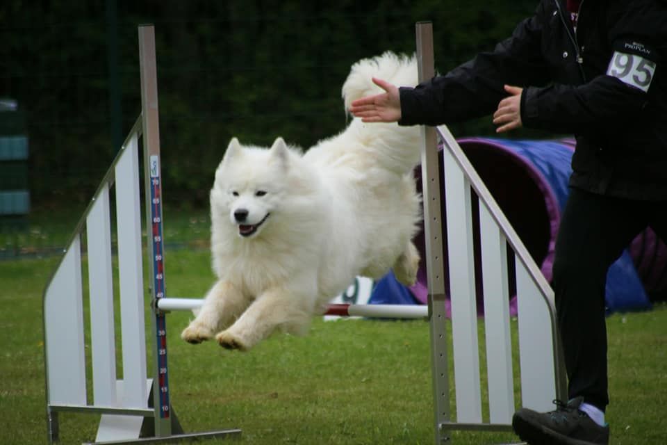 Agility